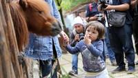 Ia pun tampak bingung melihat beberapa hewan di sana.