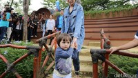 El tampak sangat antusias untuk mengajak bundanya berkeliling melihat aneka satwa.