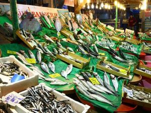 Kenali 5 Tanda Ikan yang Benar-benar Segar
