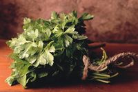 Sering Jadi Hiasan Makanan, Daun Peterseli Ampuh Atasi Kanker