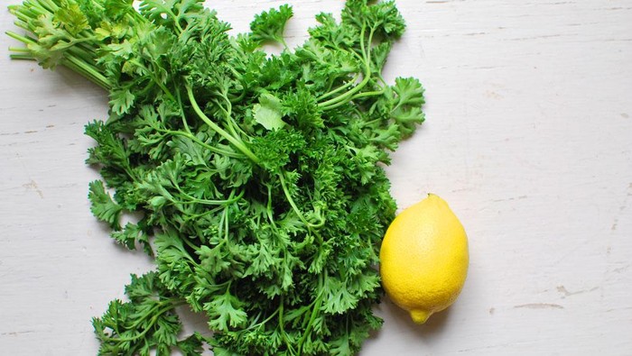 daun peterseli