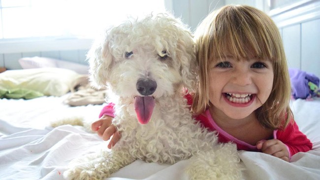 Siapa Sangka, 4 Hewan Ini Bisa Diandalkan untuk Redakan Stres