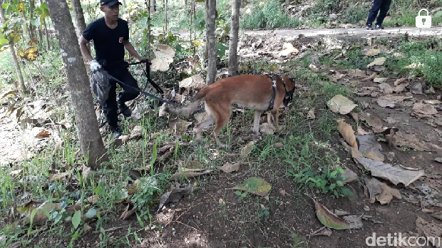 Polisi Lakukan Penyisiran di Lokasi Baku Tembak Terduga Teroris