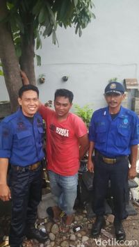 Tak Bisa Turun dari Pohon Kelapa, Aci Dievakuasi Petugas Damkar