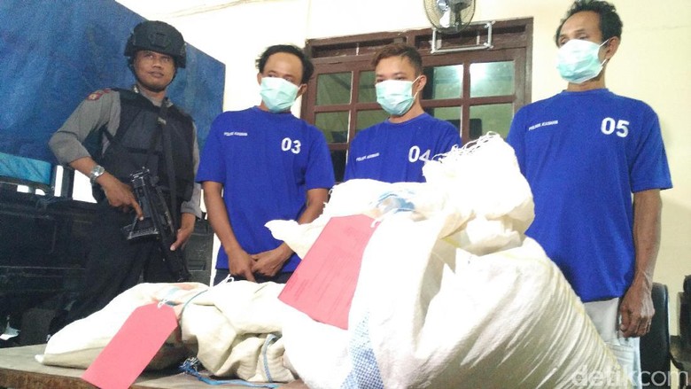 Polisi Bekuk Pencuri Cengkeh Senilai Ratusan Juta Rupiah di Bantul Polisi Bekuk Pencuri Cengkeh Senilai Ratusan Juta Rupiah di Bantul