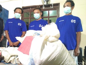 Polisi Bekuk Pencuri Cengkeh Senilai Ratusan Juta Rupiah di Bantul