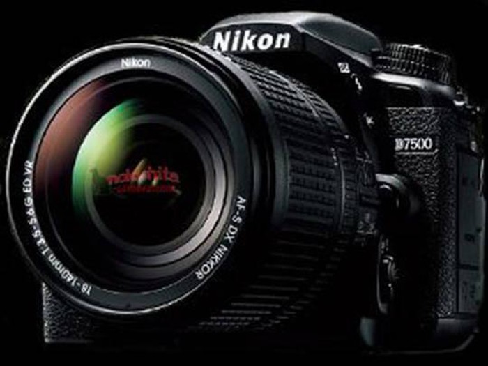 Foto: Nikon D7500/nokishita Foto: Nikon D7500/nokishita