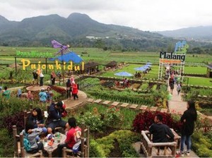 Jadi Desa Wisata, Pujon Raup Pendapatan Desa Terbesar di Malang