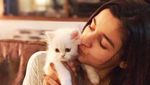 Cantiknya Alia Bhatt, Bintang Mahal India