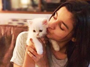Alia Bhatt Bicara Perihal Pelecehan Seksual di Bollywood