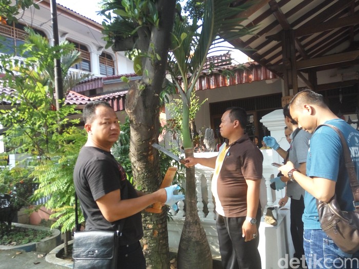 Selain Disiram Air Keras, Novel Juga Terbentur Pohon