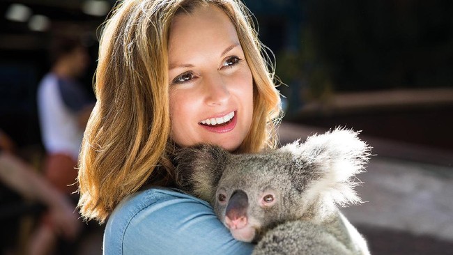 Liburan ke Brisbane & Gold Coast, Jumpa Koala Sampai Lumba-lumba