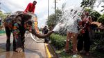 Serunya Basah-basahan di Festival Songkran