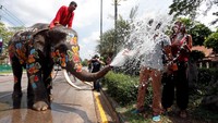 Gajah yang sudah di dandani dan dikawal seorang pawang menyemprotkan air ke arah wisatawan dalam perayaan Festival Air Songkran di provinsi Ayutthaya. REUTERS / Chaiwat Subprasom