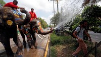 Seorang wisatawan berusaha menghindari semprotan air yang dikeluarkan dari belalai gajah. REUTERS / Chaiwat Subprasom