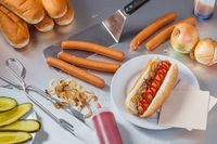 Sampai Kini Masih Jadi Perdebatan, Apakah <i>Hot Dog</i> Itu Termasuk <i>Sandwich</i>?