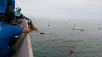 Rumah Panggung & Tradisi 'Memberi Makan Leluhur' di Wakatobi