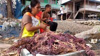 Rumput laut sedang dijemur. Dalam satu tahun penduduk Desa Derawa bisa lima kali panen. Per musimnya kalau dikumpulkan bisa sampai 3 ton rumput laut (Mukhlis/detikTravel)