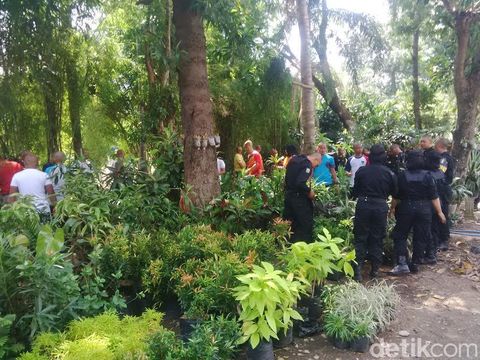 Wali Kota Risma Ingin Punya Kebun Pangan di Surabaya