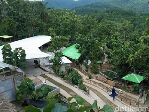 Berwisata dan Belajar Beternak di Vila Ternak Cikeray, Cilegon