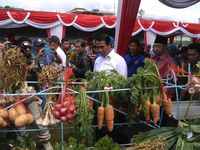 Mentan: Harga Bawang Putih Tidak Boleh Jatuh Lagi