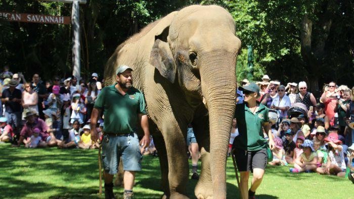 Kebun Binatang Perth Ubah Kotoran Hewan Jadi Kompos Berkualitas