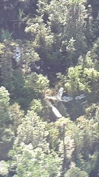 Pilot Pesawat Kargo yang Jatuh di Papua Ditemukan Tewas