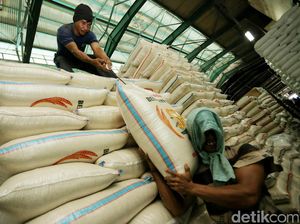 Izin Perusahaan yang Tak Labeli Kemasan Beras Bakal Dicabut