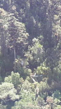 Pilot Pesawat Kargo yang Jatuh di Papua Ditemukan Tewas