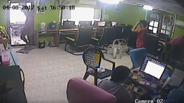 Insiden ular 'terbang' di Thailand. 