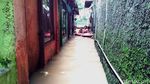 5 Rumah di Tebet Terendam Banjir