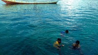 Dengan lihai, mereka berenang meliuk-liuk di kedalaman lautan Wakatobi. Mereka biasanya mencari ikan-ikan kecil dengan menggunakan panah ikan yang dibuat sendiri (Mukhlis/detikTravel)