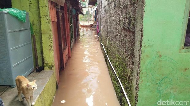 Ciliwung Meluap, 5 Rumah di Tebet Terendam Banjir 40 Cm