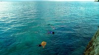 Bermodalkan kacamata renang dan panah ikan, mereka menyelam mencari ikan di kedalaman 3-4 meter. Mereka melakukan ini cuma buat seru-seruan saja (Mukhlis/detikTravel)