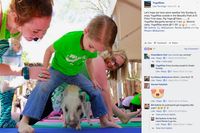 Saat Yoga Dilakukan Sambil Minum Margarita dan Ditemani Babi