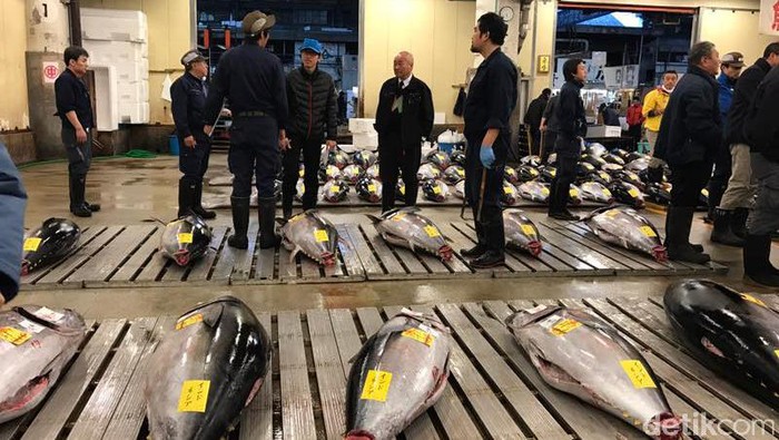 Kembangkan Muara Baru, KKP Studi Banding ke Pasar Ikan Tsukiji