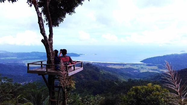 Rumah pohon ini sedang hits di Trenggalek (Adhar Muttaqin/detikTravel)