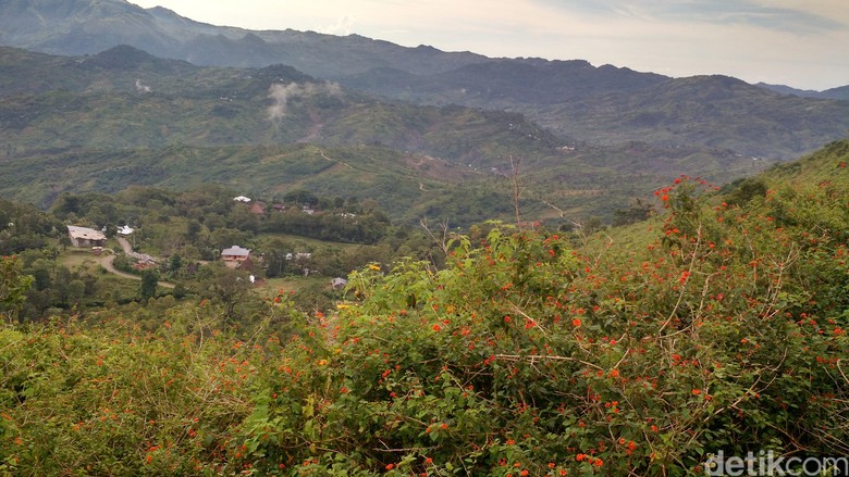 Listrik Perbatasan Indonesia-Timor Leste, Antara Byar-pet dan Gelap Listrik Perbatasan Indonesia-Timor Leste, Antara Byar-pet dan Gelap