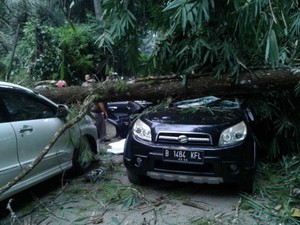 Pengendara Motor Tewas Tertimpa Pohon Tumbang di Maribaya Lembang
