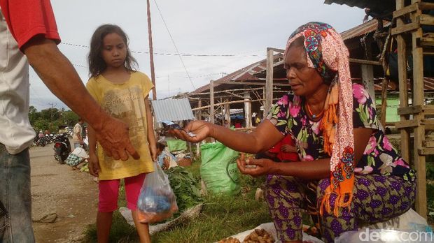 4 Jam Perjalanan Sayur Tanpa Pupuk dari Lereng Gunung ke Atambua