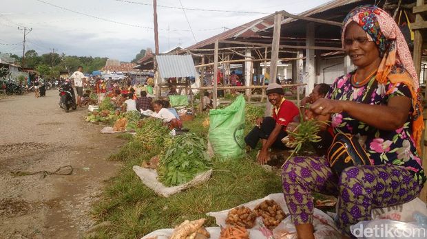 4 Jam Perjalanan Sayur Tanpa Pupuk dari Lereng Gunung ke Atambua