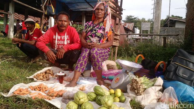 4 Jam Perjalanan Sayur Tanpa Pupuk dari Lereng Gunung ke Atambua