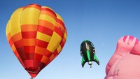 Ini penampakan sejumlah balon udara raksasa di Wairarapa Balloon Festival 2017 yang digelar di Martinborough, Selandia Baru. Hagen Hopkins/Getty Images.