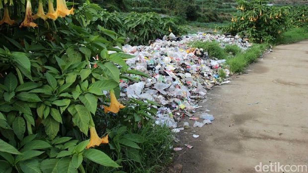 Tumpukan sampah di Telaga Cebong (Randy/detikTravel)