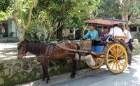 Turis yang berwisata dengan dokar (Randy/detikTravel)