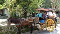 Ketika detikTravel singgah ke Desa Candirejo, sempat beberapa kali menjumpai rombongan turis asing yang tengah berkeliling desa dengan dokar. Semua adalah turis asing, tidak tampak adanya turis lokal (Randy/detikTravel)
