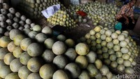 Buah melon segar yang siap dijual.