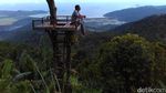 Liburan Romantis di Rumah Pohon PHP Trenggalek