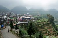 Ada di ketinggian 2.300 Mdpl (Randy/detikTravel)