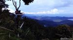 Liburan Romantis di Rumah Pohon PHP Trenggalek
